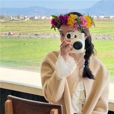 半岛回声 海报