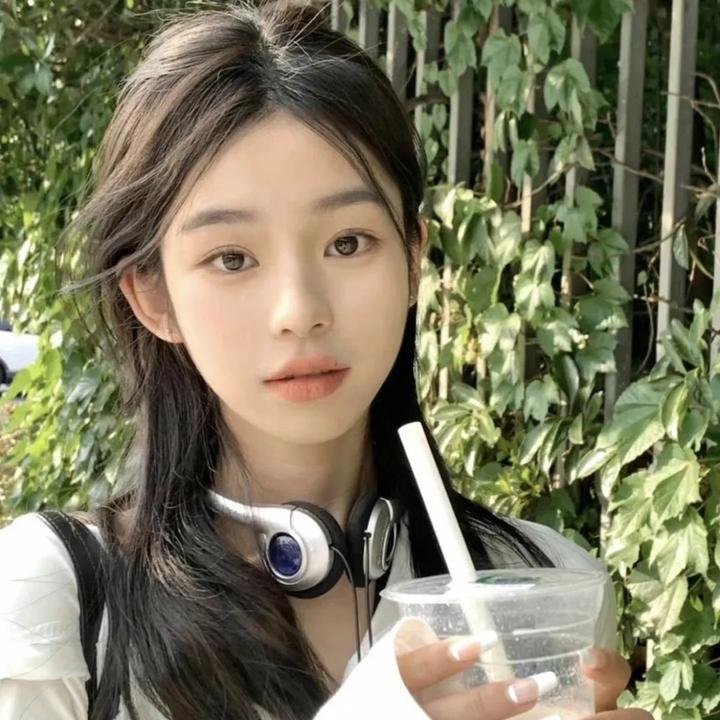 奈良追凶 海报