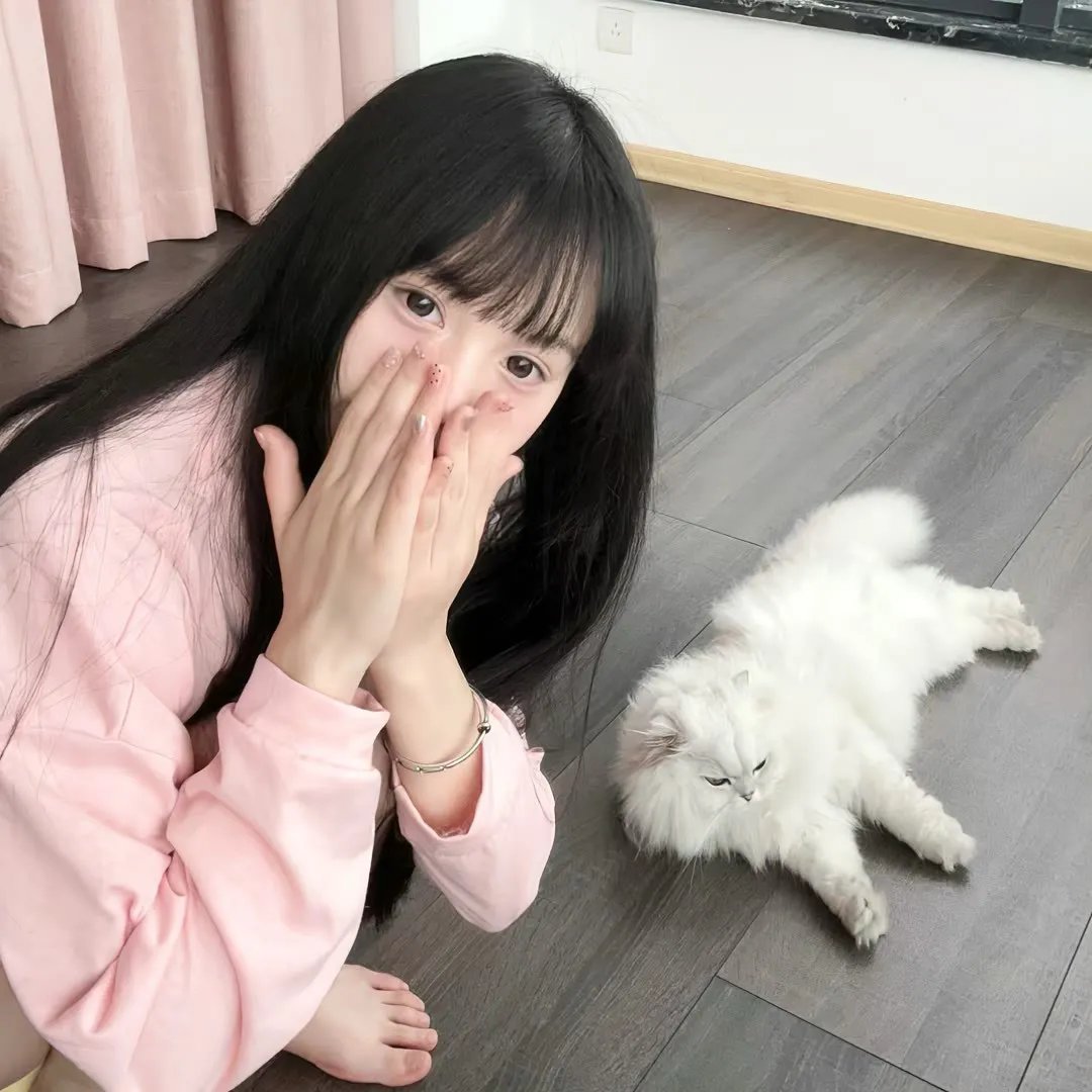 奈良律师 海报